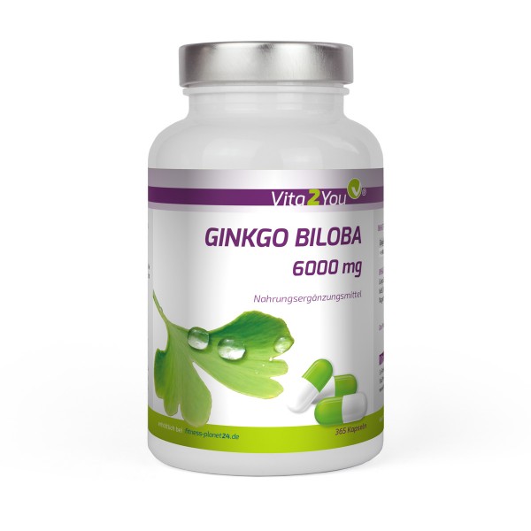 Vita2You Ginkgo Biloba 6000mg - 365 Kapseln - Flavonglykoside + Terpenlactone Hochdosiert - Premium